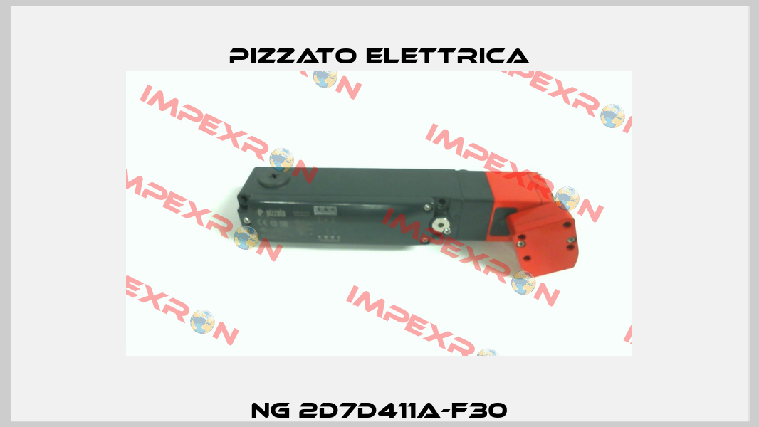 NG 2D7D411A-F30 Pizzato Elettrica