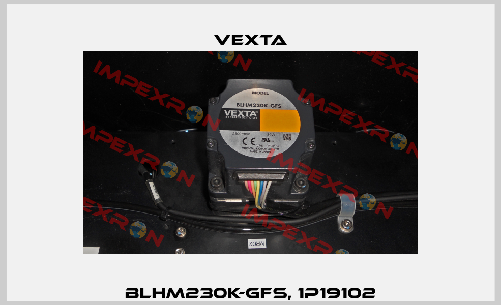 BLHM230K-GFS, 1P19102 Vexta