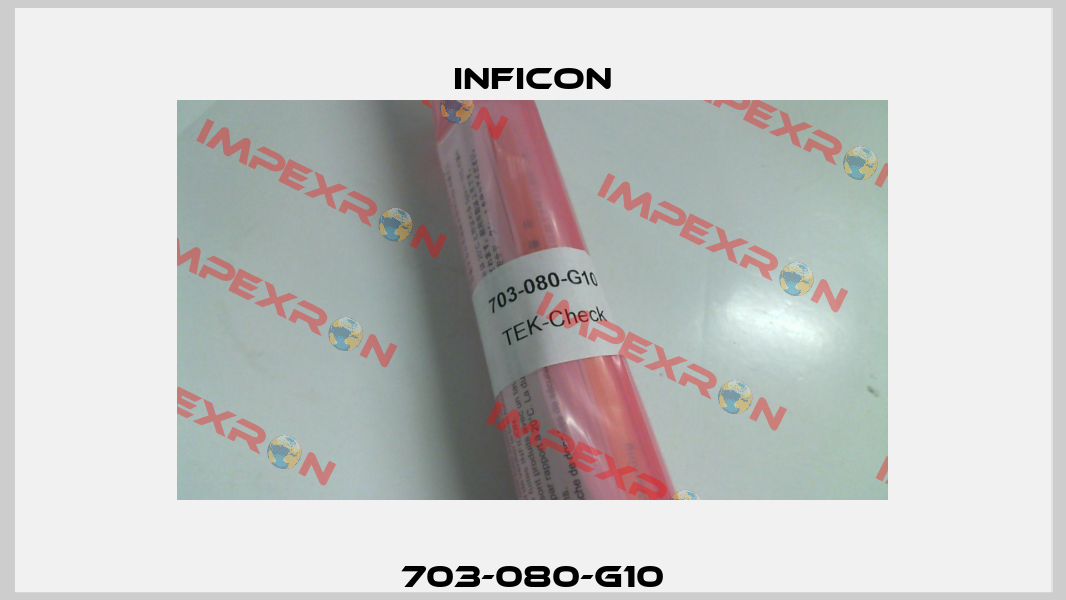 703-080-G10 Inficon