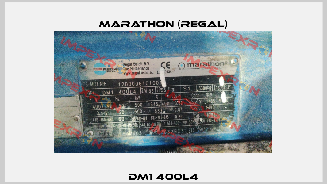 DM1 400L4 Marathon (Regal)