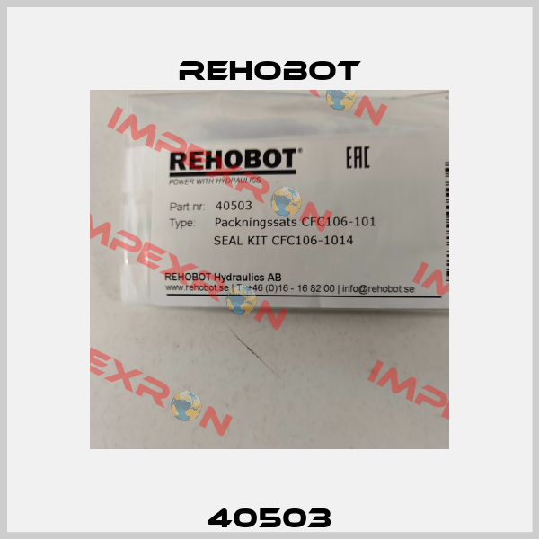 40503 Rehobot