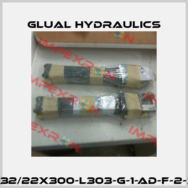 KI-32/22x300-L303-G-1-AD-F-2-30 Glual Hydraulics