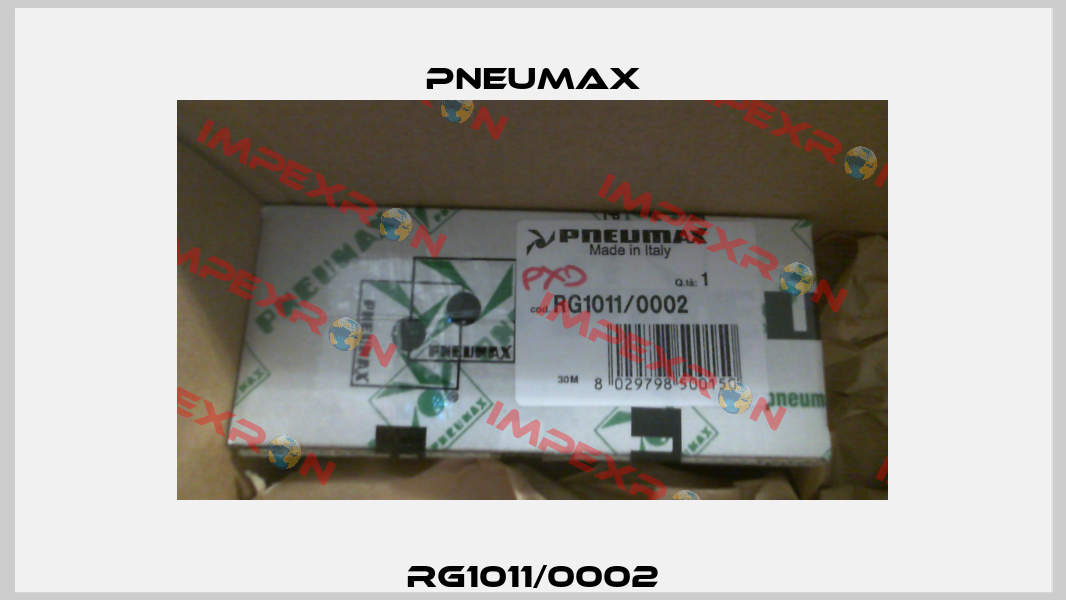 RG1011/0002 Pneumax